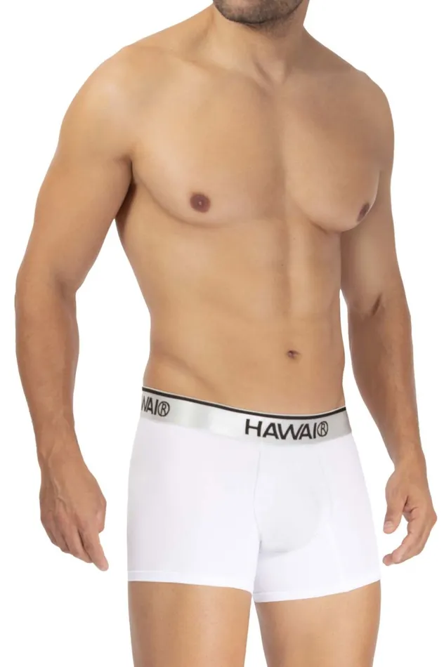 HAWAI Vibrators Microfiber Boxer Briefs