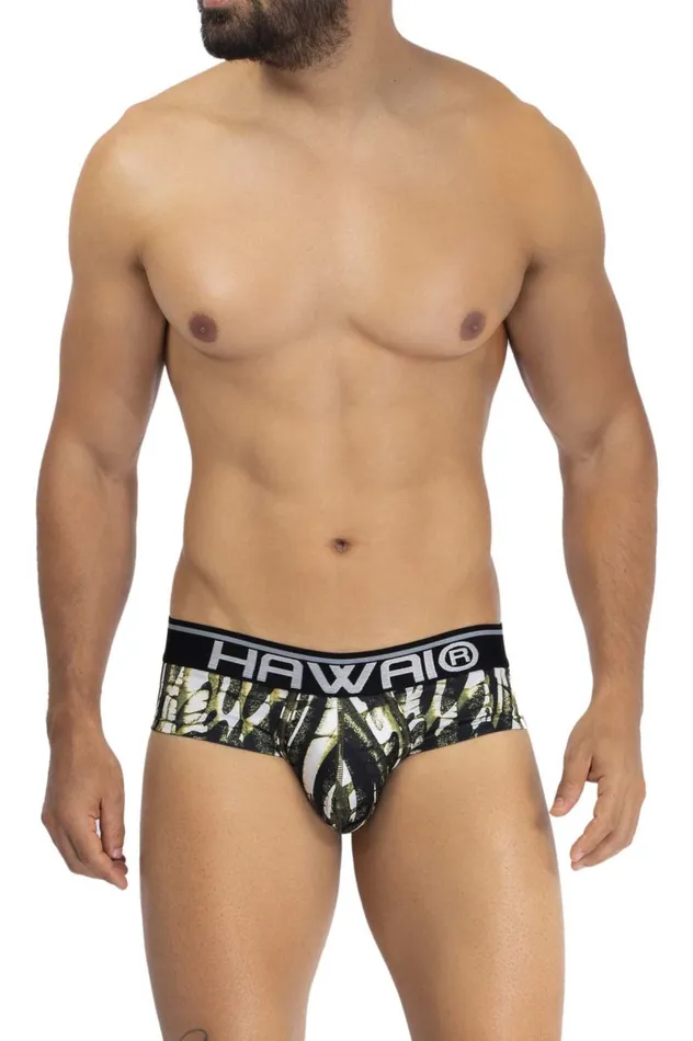 HAWAI Vibrators Printed Microfiber Hip Briefs