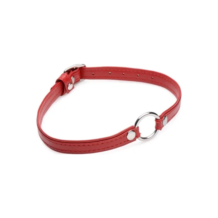 Restraints Fiery Pet Leather Choker w Silver Ring Red Master Series