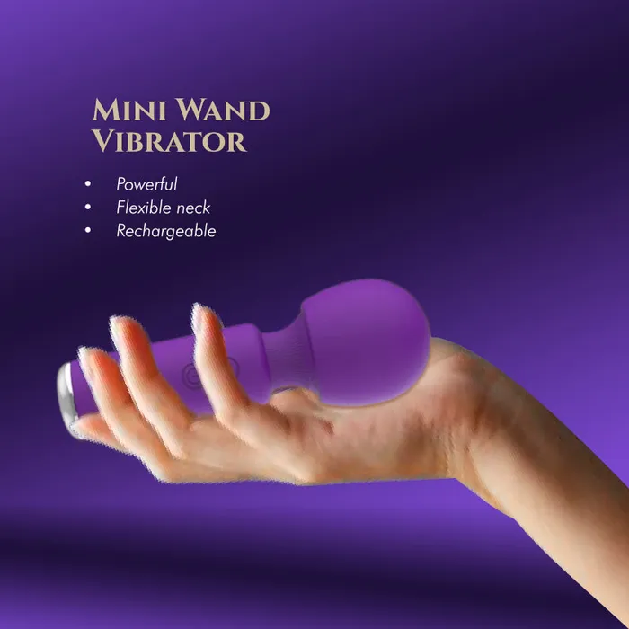 FRISKY BUSINESS SG Female Sex Toys Desiree Mini Vibrator