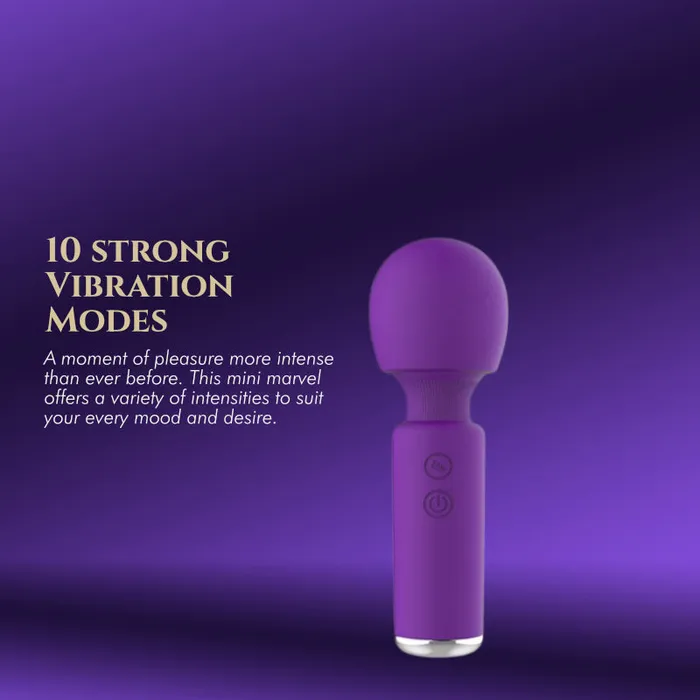 FRISKY BUSINESS SG Female Sex Toys Desiree Mini Vibrator