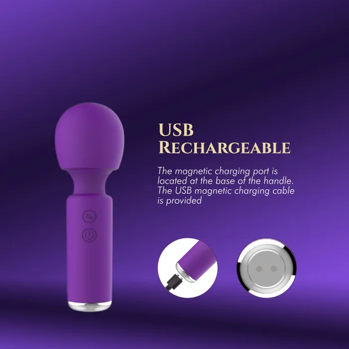 FRISKY BUSINESS SG Female Sex Toys Desiree Mini Vibrator