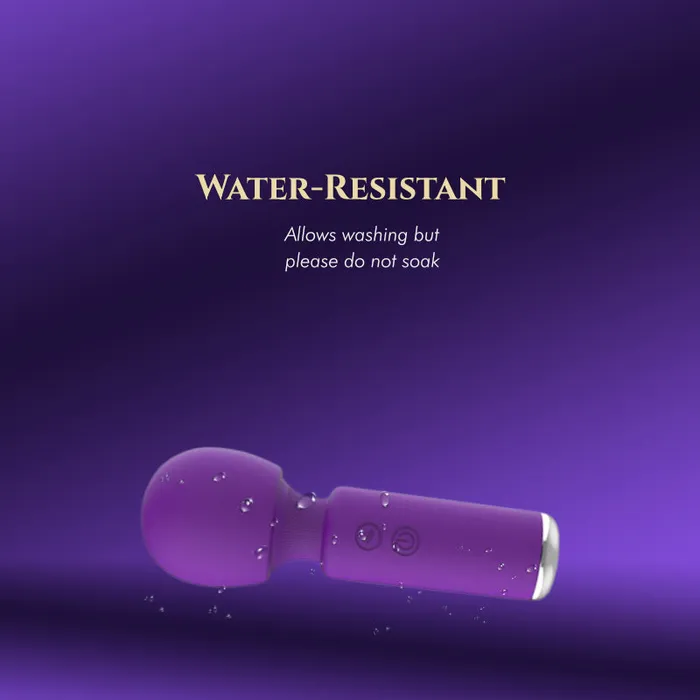 FRISKY BUSINESS SG Female Sex Toys Desiree Mini Vibrator