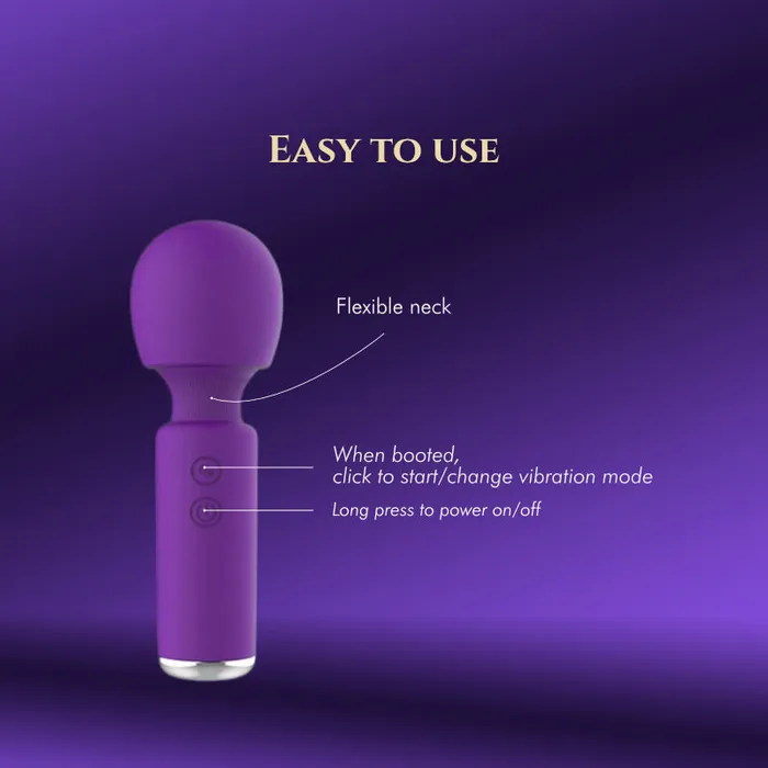 FRISKY BUSINESS SG Female Sex Toys Desiree Mini Vibrator